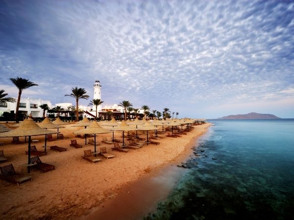 Vizesiz Sharm Turu Swissotel Ultra Her Şey Dahil