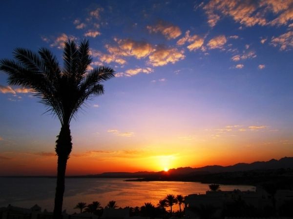 Vizesiz Sharm Turu Concorde El Salam Front Otel Alkollü Herşey Dahil