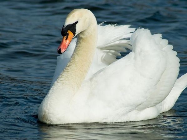 Çocuklarla Londra, Müzeler ve Harry Potter Turu